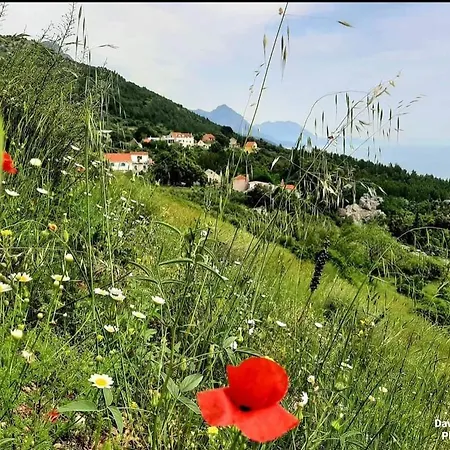 Ivo Zivogosce Apartmán *